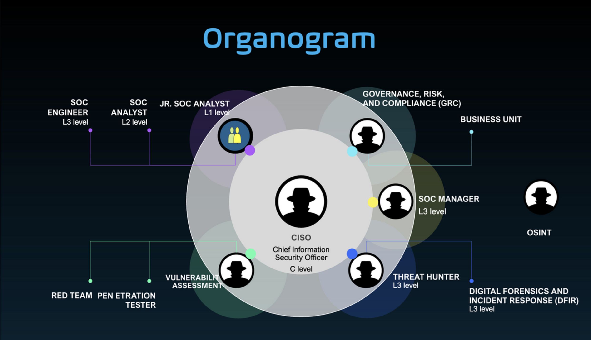 Organogram